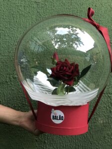 Leia mais sobre o artigo Balões personalizados