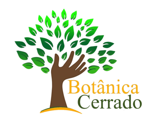 Botânica Cerrado -Terrários, kokedamas e arranjos botânicos